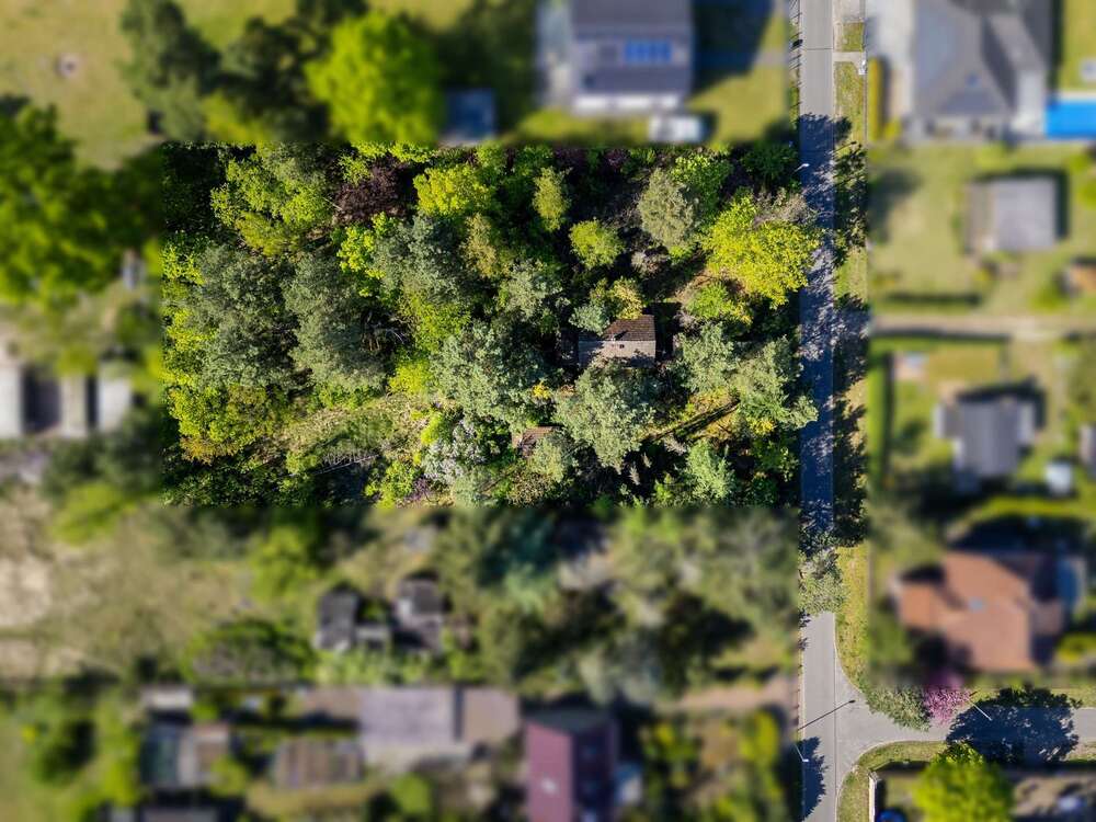 Thumbnail-Grundstück zu verkaufen in Grünheide (Mark) 194.000,00 € 1406 m²