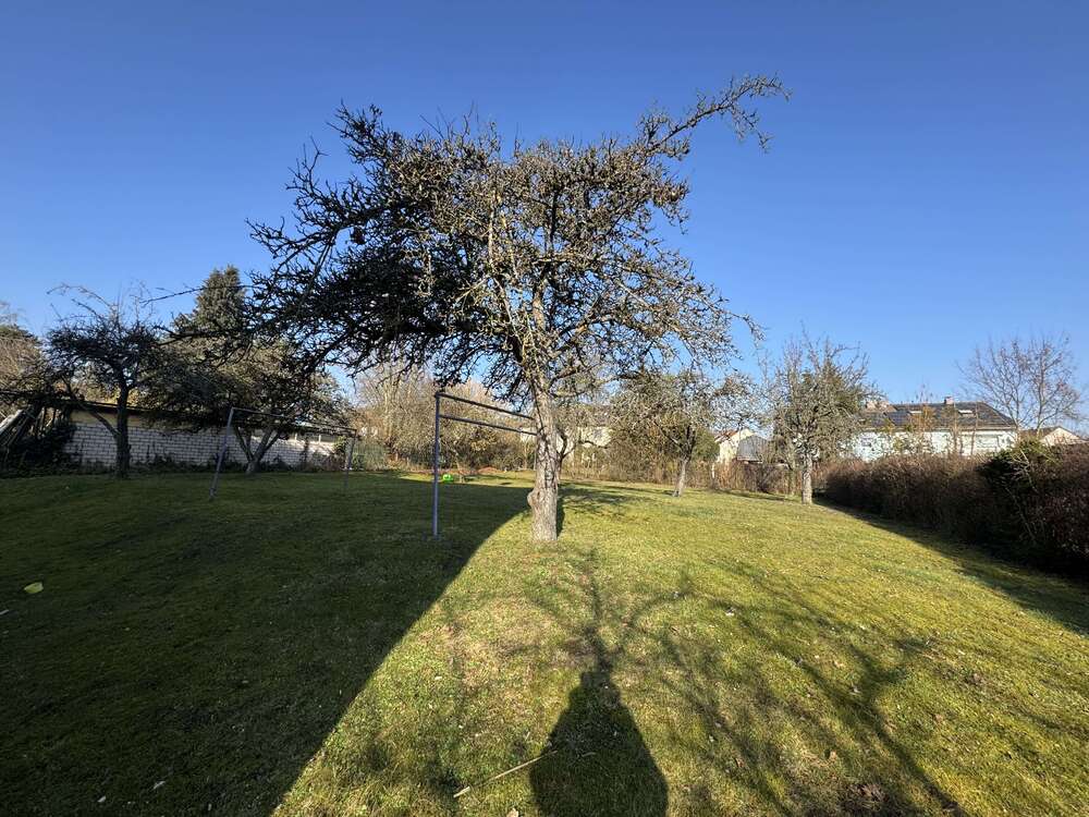 Thumbnail-Wohnung zum Mieten in Würzburg 1.500,00 € 80 m²