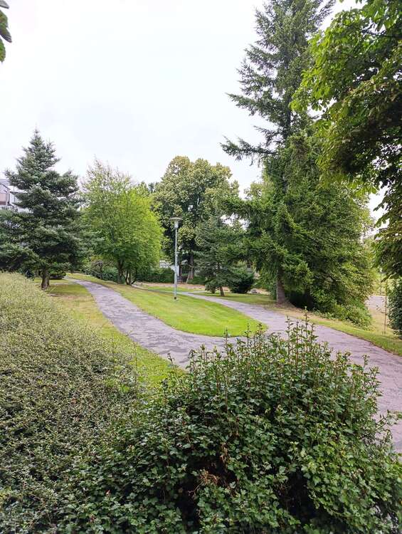 Thumbnail-Wohnung zum Mieten in Hartha 310,00 € 52 m²