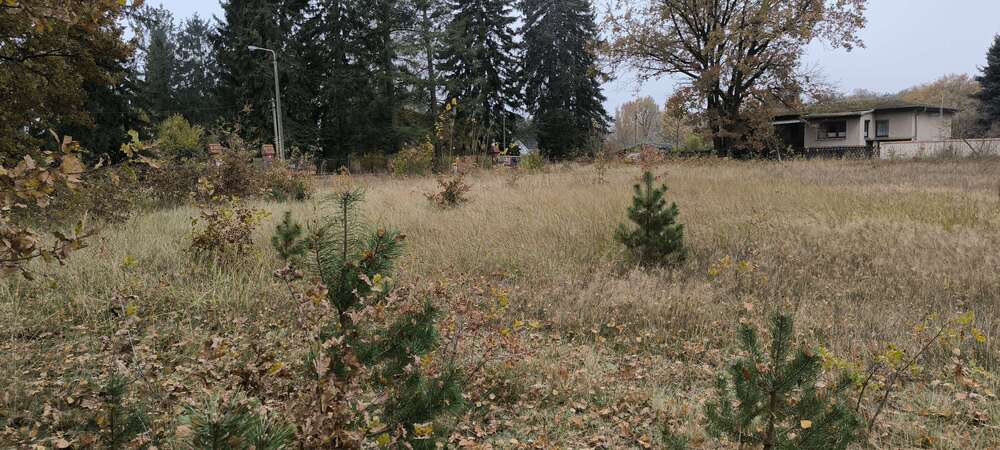 Thumbnail-Grundstück zu verkaufen in Heidesee OT Wolzig 215.000,00 € 1583 m²