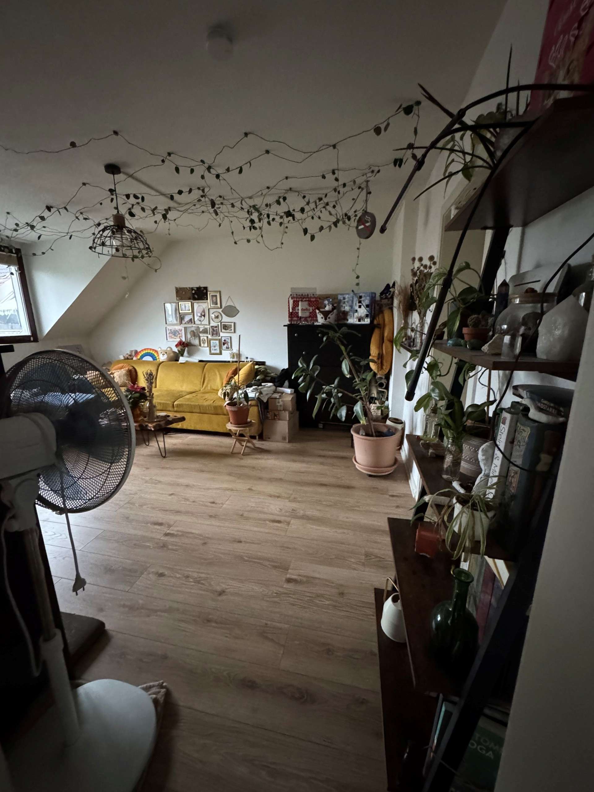 Thumbnail-Wohnung zum Mieten in Düsseldorf 675,00 € 48.24 m²