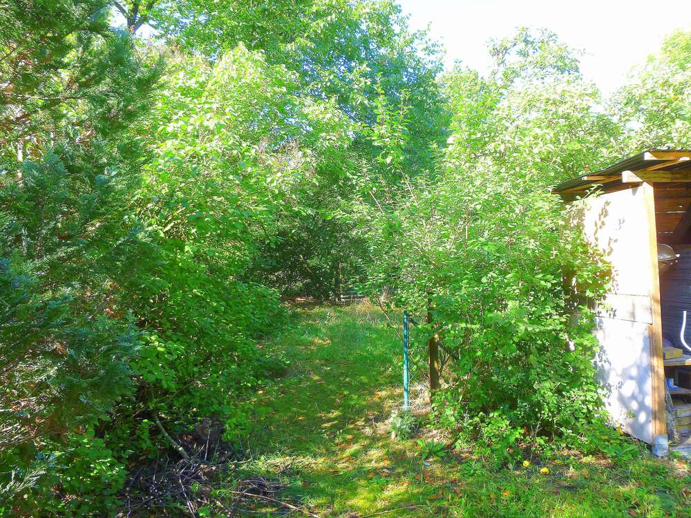 Thumbnail-Grundstück zu verkaufen in Oranienburg 257.000,00 € 868 m²