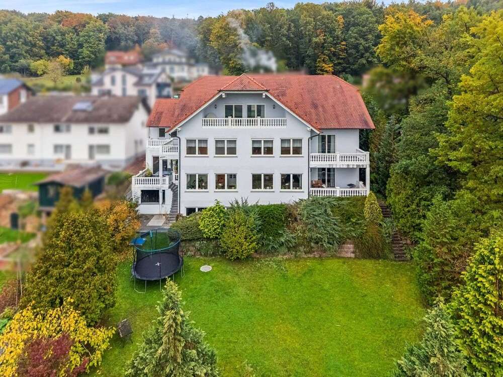 Thumbnail-Haus zum Kaufen in Elsenfeld 850.000,00 € 503.92 m²