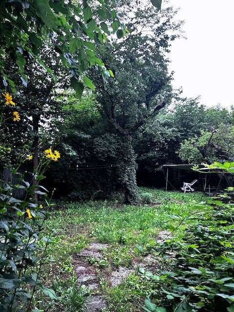 Thumbnail-Grundstück zu verkaufen in Berlin 779.000,00 € 890 m²