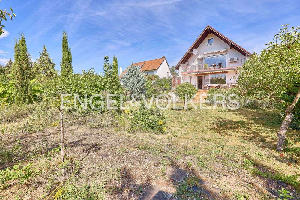 Thumbnail-Haus zum Kaufen in Limburgerhof 698.000,00 € 206 m²