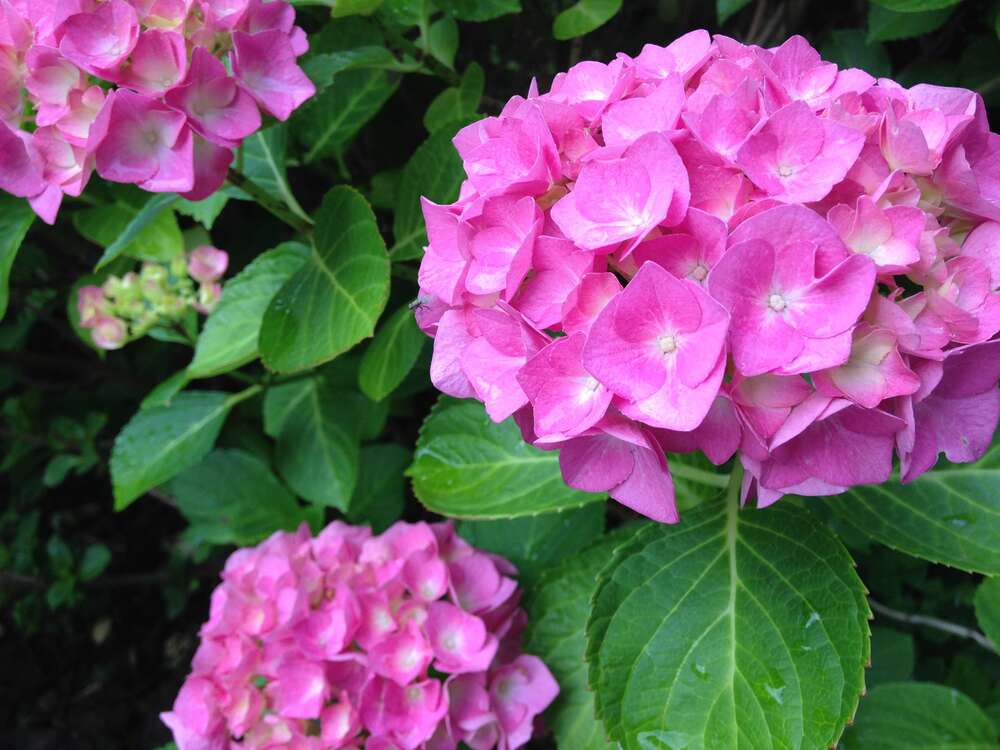 Thumbnail-Wohnung zum Kaufen in Langen 395.000,00 € 95 m²