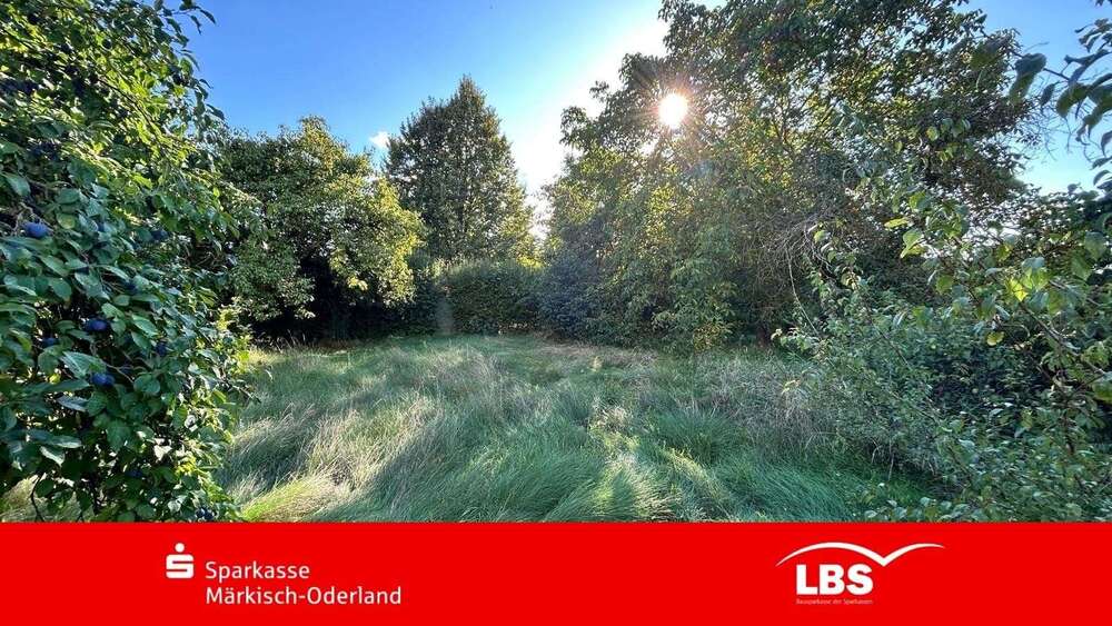 Thumbnail-Grundstück zu verkaufen in Eggersdorf 245.000,00 € 1010 m²