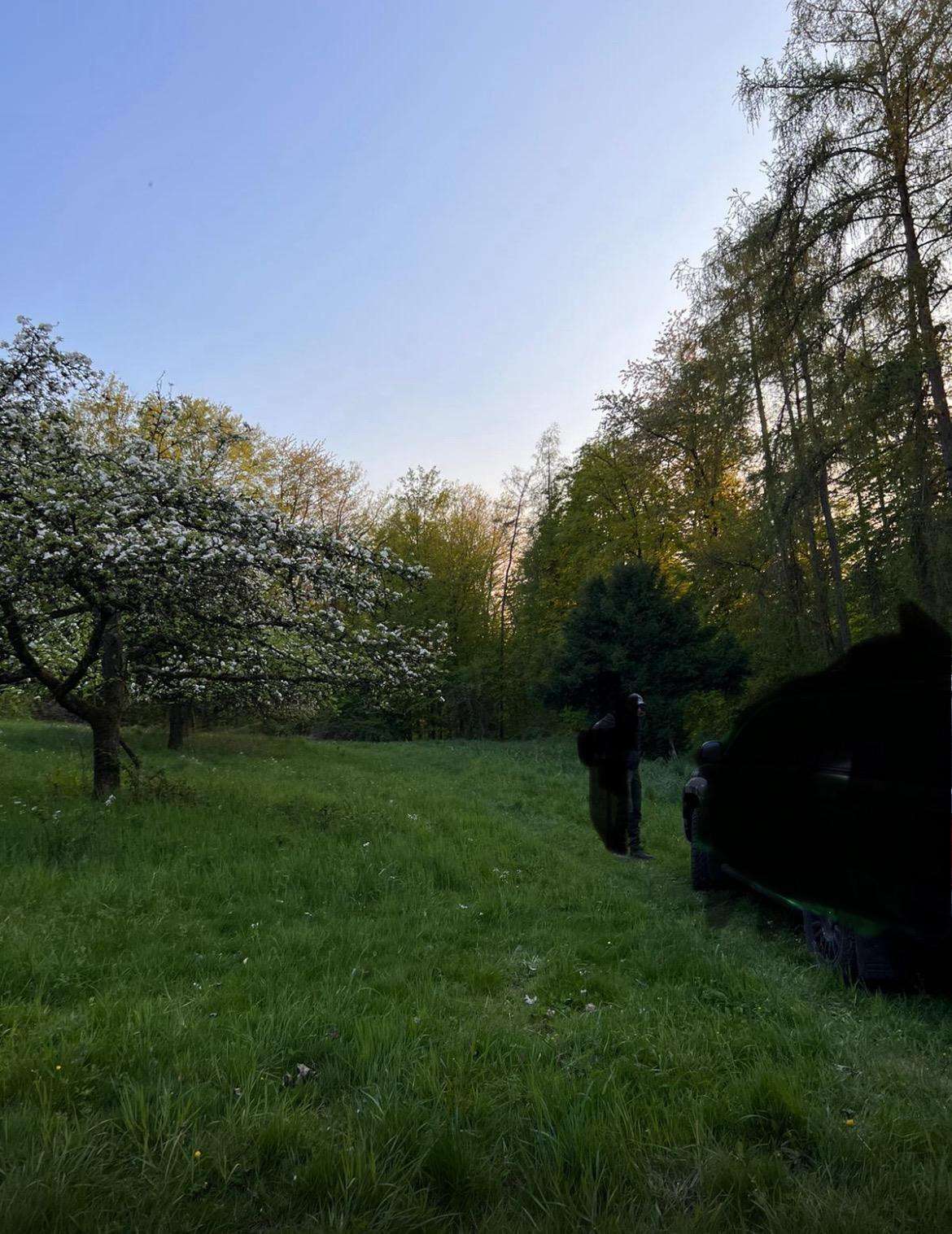 Thumbnail-Grundstück zu verkaufen in Mauer 23.000,00 € 712 m²