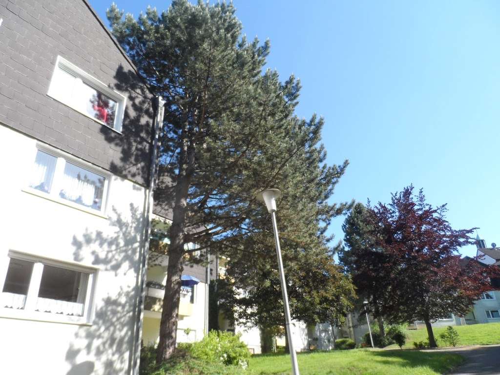 Thumbnail-Wohnung zum Mieten in Essen 253,87 € 40.8 m²
