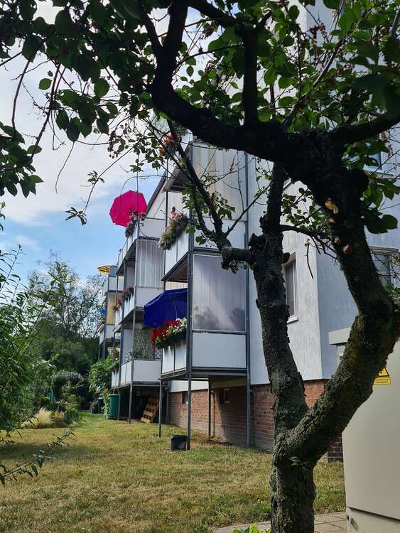 Thumbnail-Wohnung zum Mieten in Dresden 570,00 € 61.81 m²