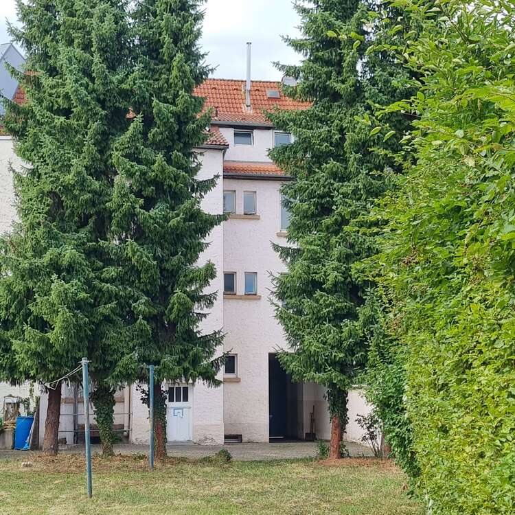 Thumbnail-Haus zum Kaufen in Aschaffenburg 585.000,00 € 237 m²