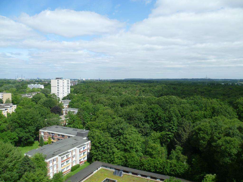 Thumbnail-Wohnung zum Mieten in Düsseldorf 609,00 € 61 m²