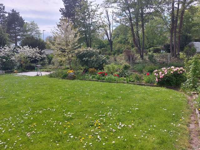 Thumbnail-Haus zum Kaufen in Grünstadt 669.800,00 € 330 m²