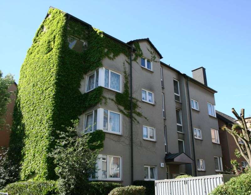 Thumbnail-Wohnung zum Mieten in Hagen 321,41 € 65.48 m²