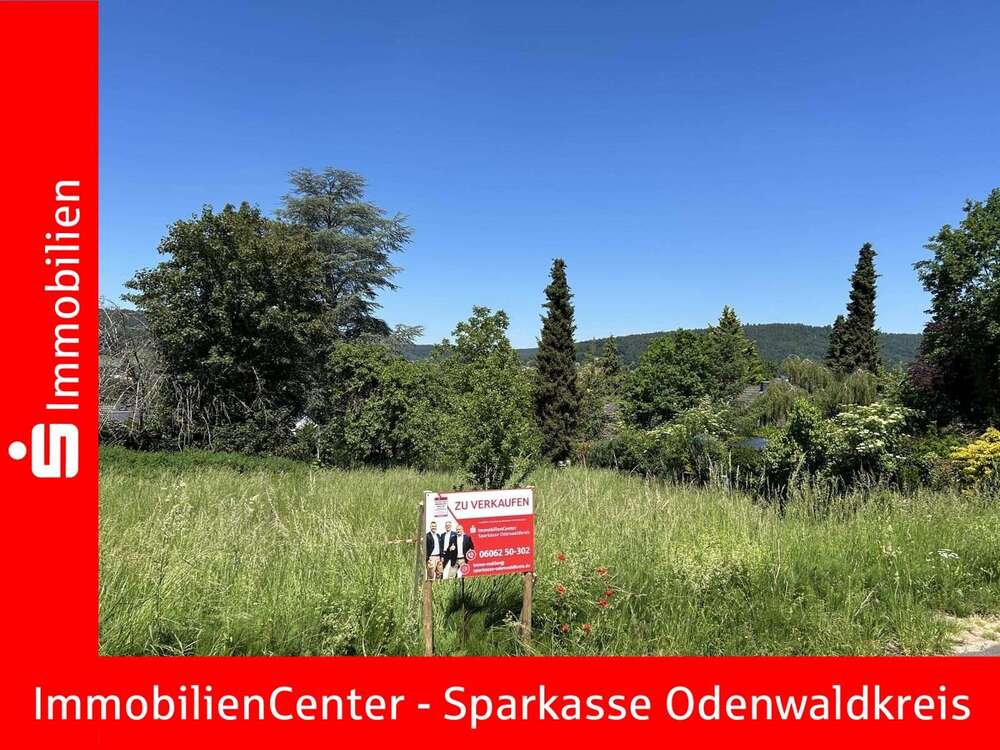 Thumbnail-Grundstück zu verkaufen in Höchst 281.875,00 € 1375 m²