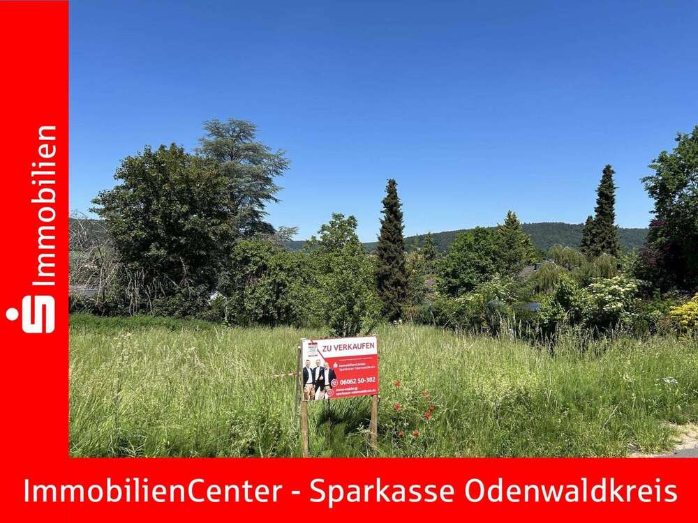 Thumbnail-Grundstück zu verkaufen in Höchst 133.250,00 € 650 m²