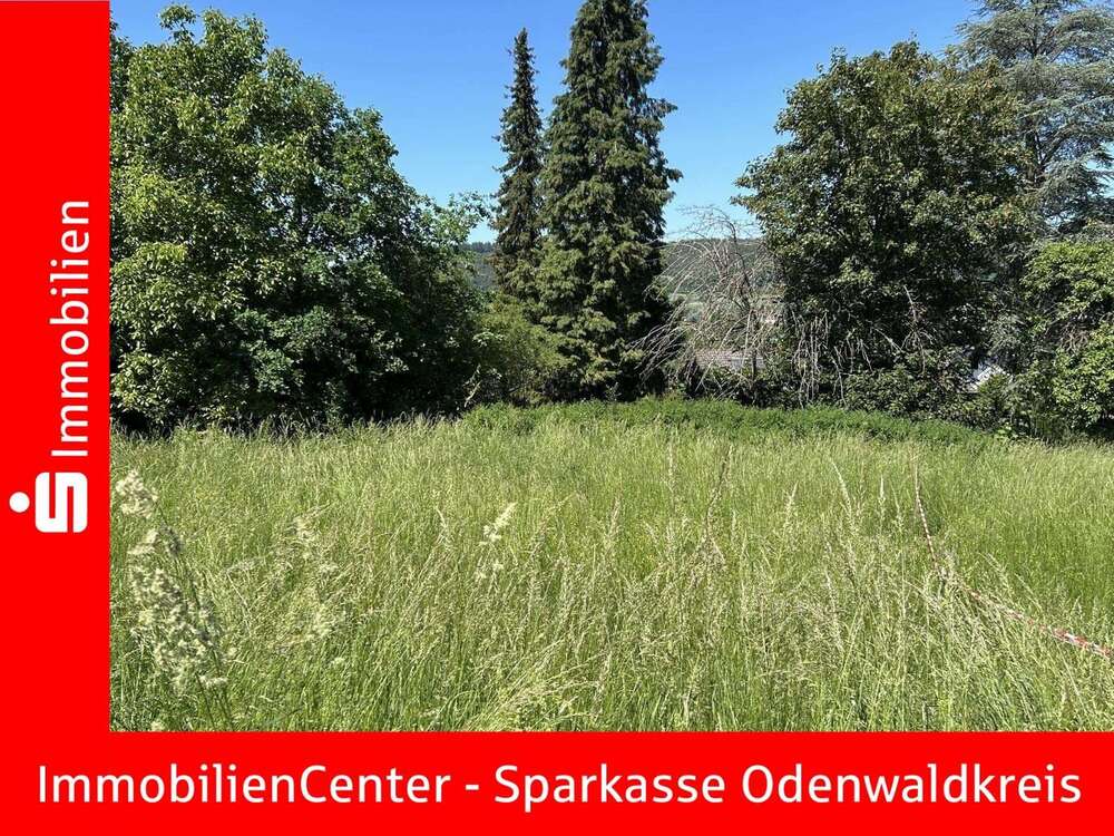 Thumbnail-Grundstück zu verkaufen in Höchst 148.625,00 € 725 m²