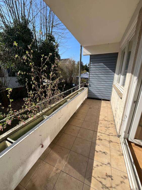 Thumbnail-Wohnung zum Mieten in Braunschweig 370,00 € 31 m²