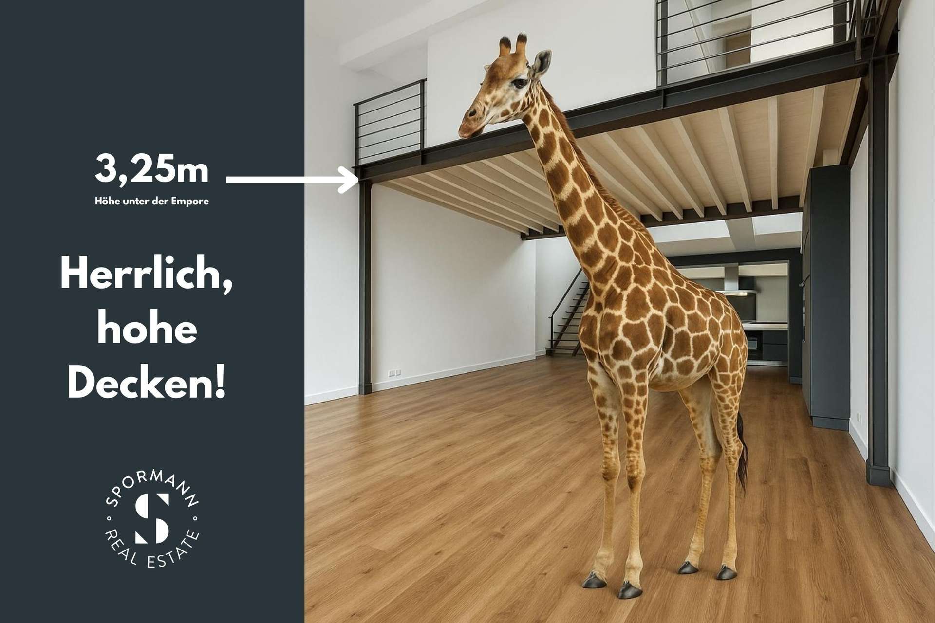 Thumbnail-Wohnung zum Kaufen in Düsseldorf 895.000,00 € 161 m²