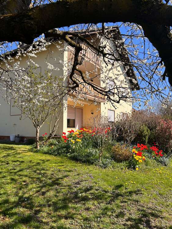 Thumbnail-Haus zum Kaufen in Hanau-Mittelbuchen 779.000,00 € 198 m²