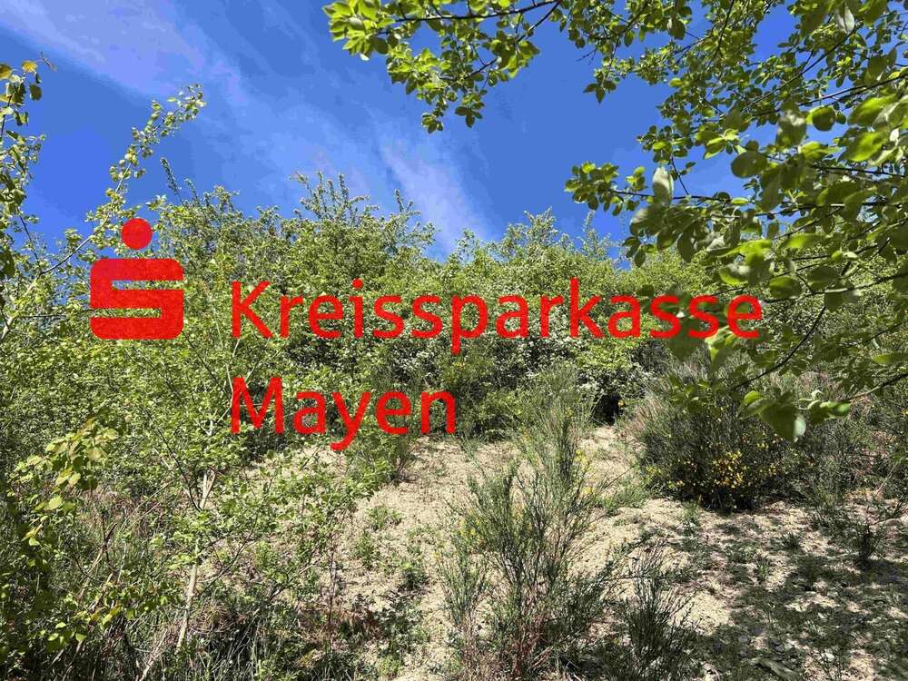 Thumbnail-Grundstück zu verkaufen in Mayen 125.000,00 € 807 m²