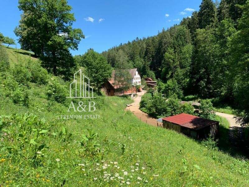 Thumbnail-Haus zum Kaufen in Nagold 849.000,00 € 245 m²