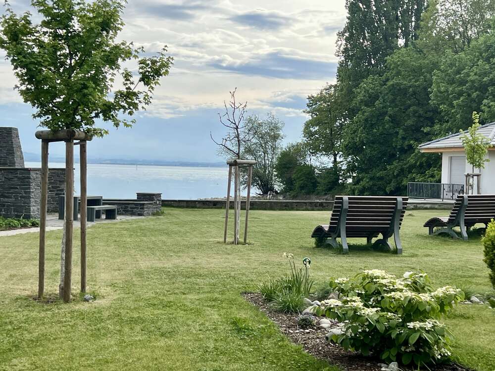 Thumbnail-Wohnung zum Kaufen in Friedrichshafen 869.000,00 € 98 m²