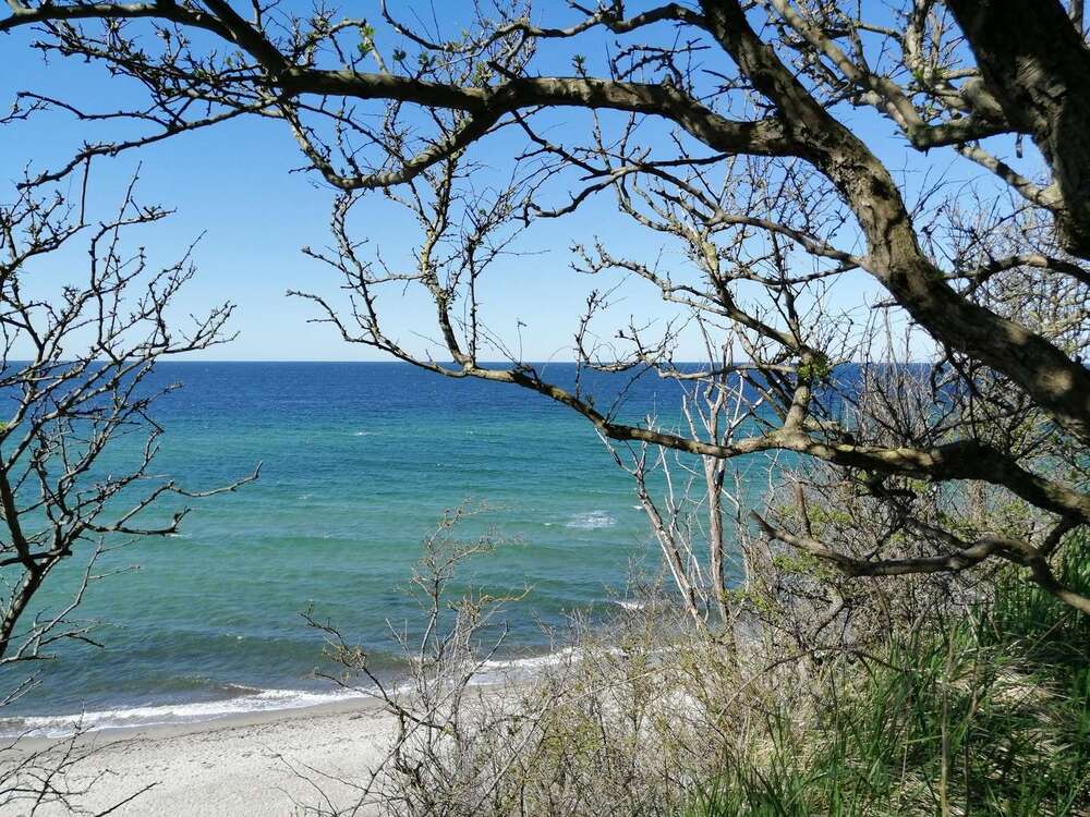 Thumbnail-Haus zum Kaufen in Roggow OT Rerik 155.000,00 € 27 m²