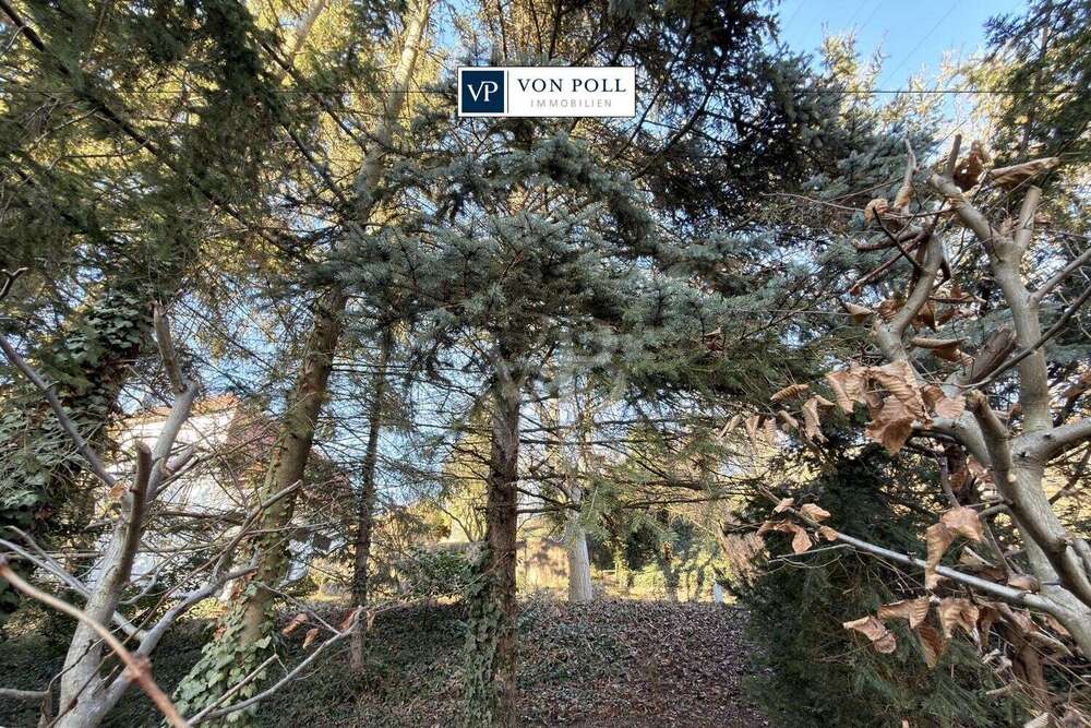 Thumbnail-Grundstück zu verkaufen in Jena 495.000,00 € 850 m²