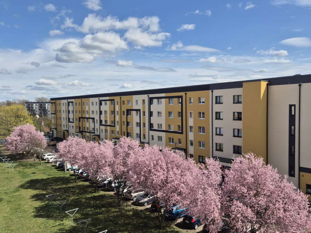 Thumbnail-Wohnung zum Mieten in Wolmirstedt 304,00 € 50.67 m²