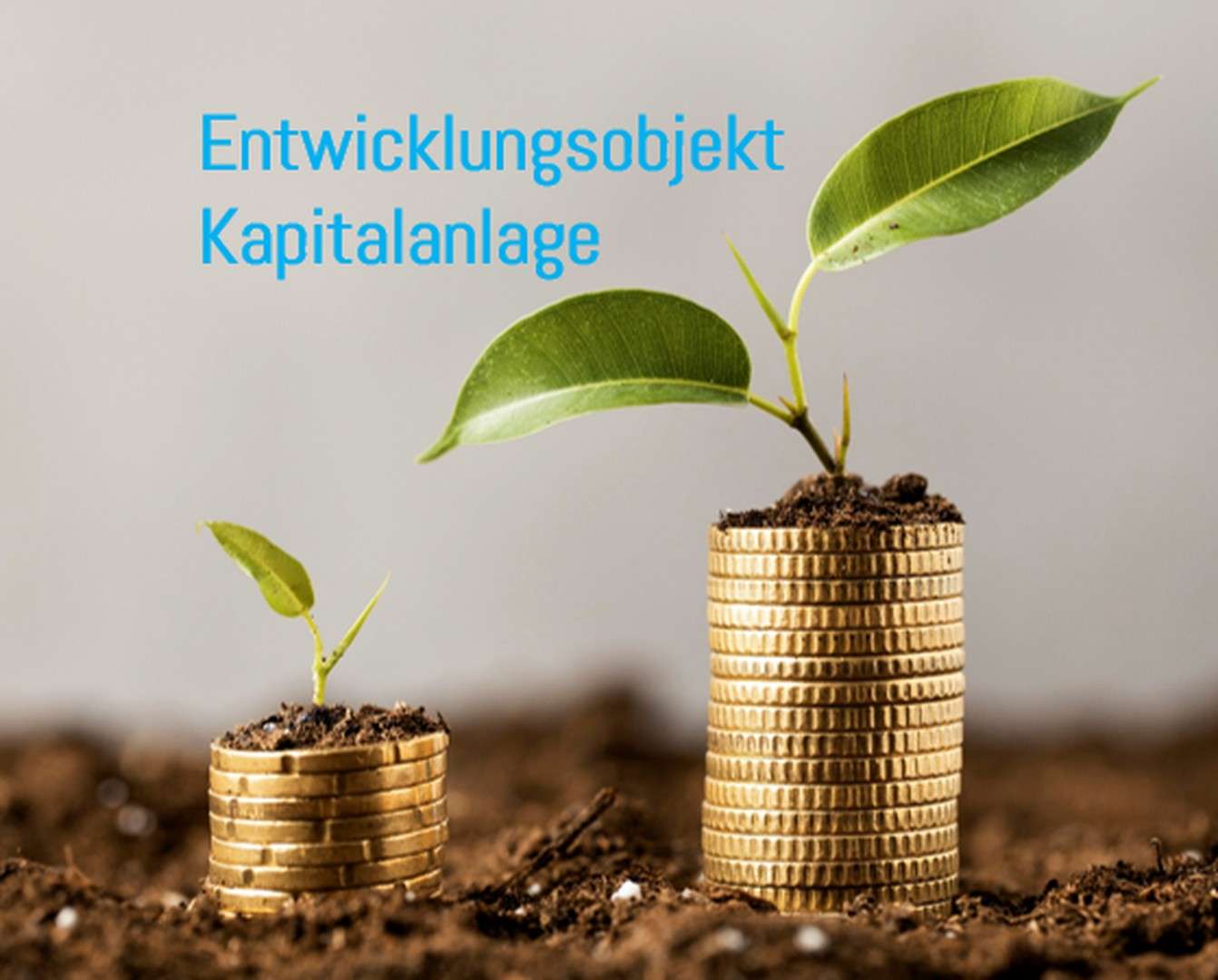 Thumbnail-Haus zum Kaufen in Pforzheim 3.500.000,00 € 2555 m²