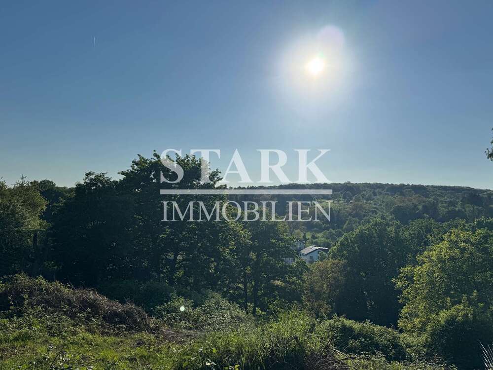 Thumbnail-Haus zum Kaufen in Bad Soden am Taunus 1.250.000,00 € 378 m²