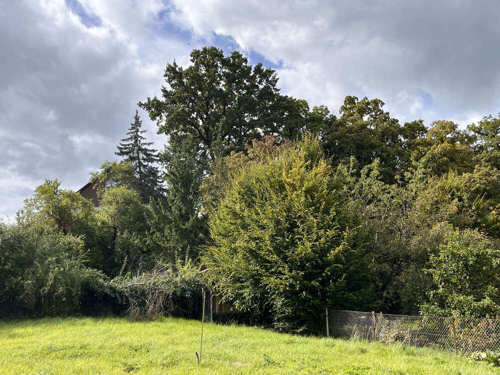 Thumbnail-Haus zum Kaufen in Lappersdorf 630.000,00 € 212 m²