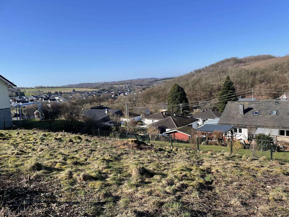 Thumbnail-Grundstück zu verkaufen in Luckenbach 35.000,00 € 500 m²