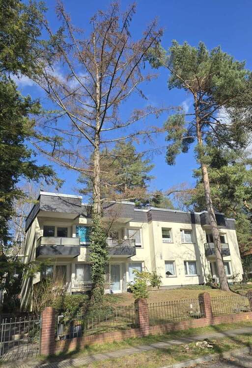 Thumbnail-Wohnung zum Kaufen in Berlin 250.000,00 € 56 m²