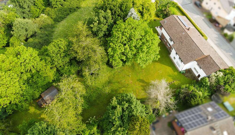 Thumbnail-Haus zum Kaufen in Braunfels 575.000,00 € 290 m²