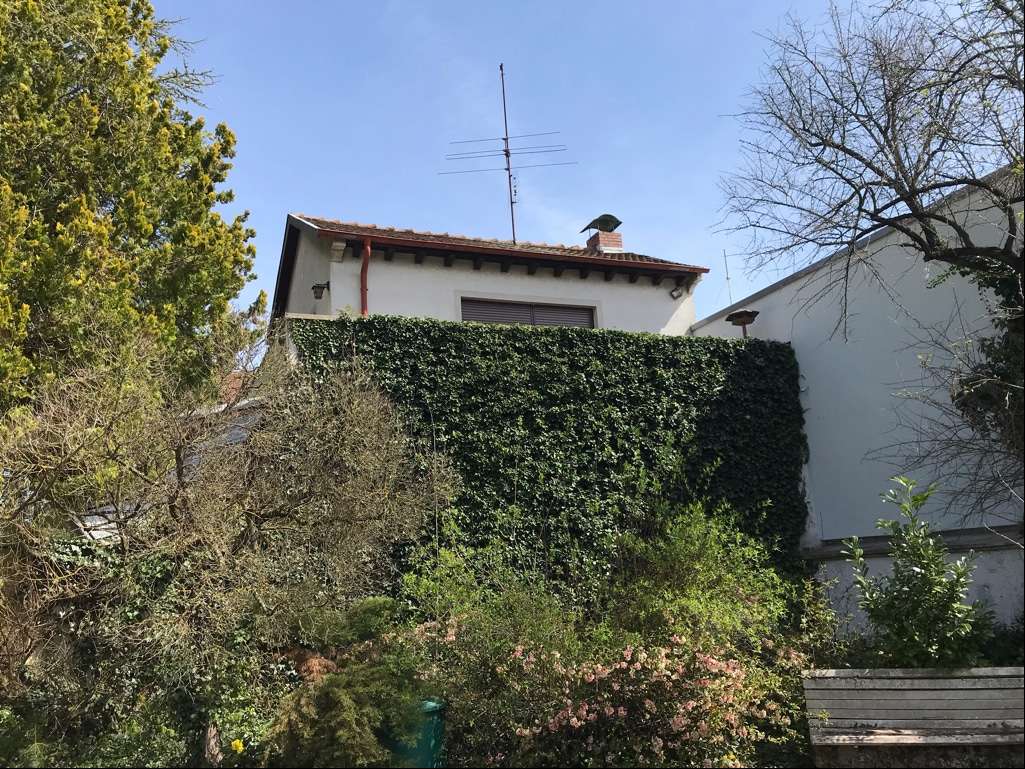 Thumbnail-Haus zum Kaufen in Homburg 800.000,00 € 150 m²