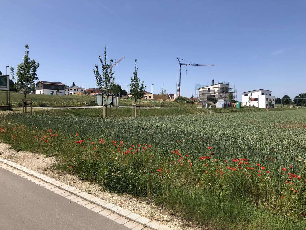 Thumbnail-Grundstück zu verkaufen in Schrobenhausen 536.140,00 € 887 m²