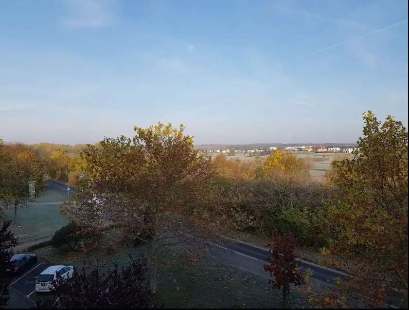 Thumbnail-Wohnung zum Kaufen in Halle 155.000,00 € 55 m²