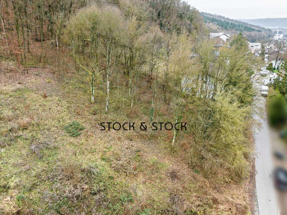 Thumbnail-Grundstück zu verkaufen in Mosbach 225.000,00 € 2960 m²
