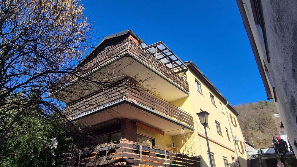 Thumbnail-Haus zum Kaufen in Neckarsteinach 695.000,00 € 376 m²