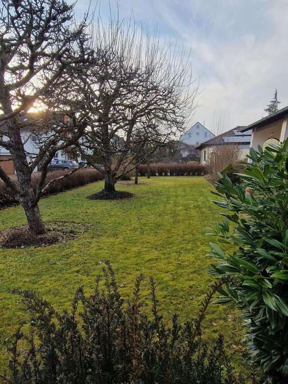 Thumbnail-Haus zum Kaufen in Ummendorf 554.000,00 € 123 m²