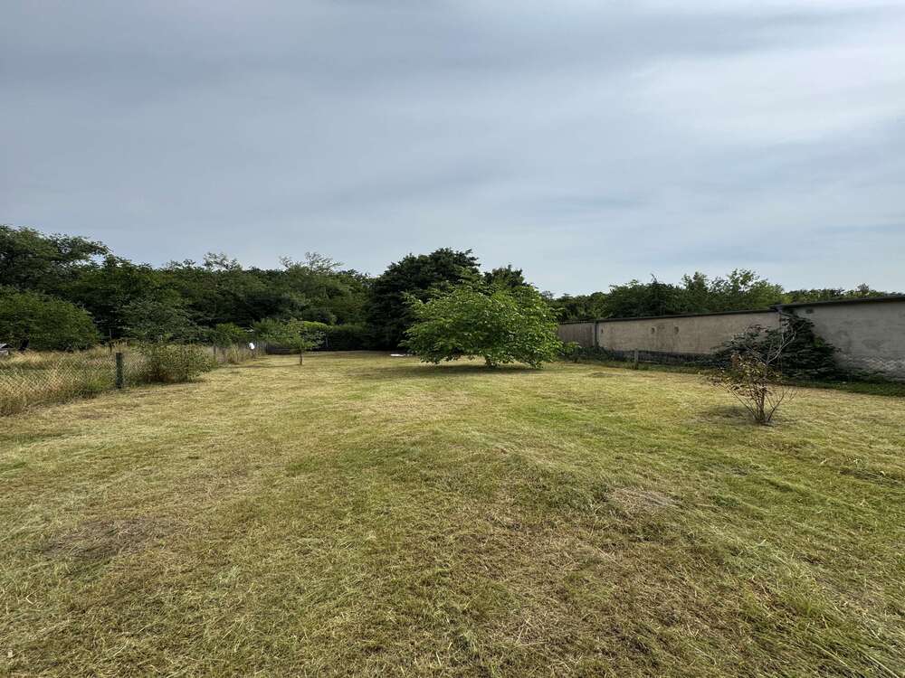 Thumbnail-Haus zum Kaufen in Halle 19.000,00 €