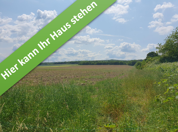 Thumbnail-Haus zum Kaufen in Salder 325.450,00 € 119 m²