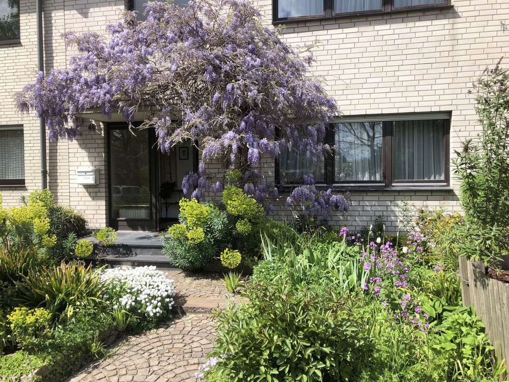 Thumbnail-Haus zum Kaufen in Dormagen - Zons 485.000,00 € 142 m²