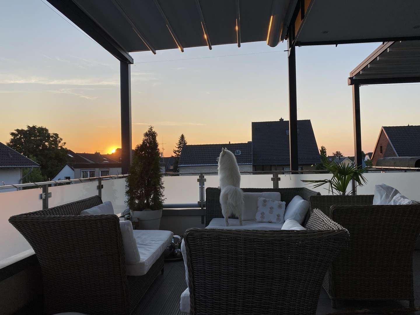 Thumbnail-Haus zum Kaufen in Troisdorf 3.289.000,00 € 826 m²