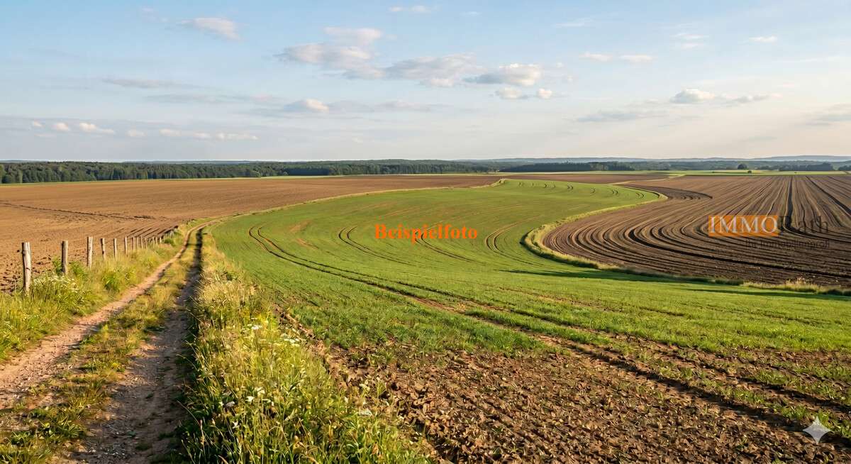 Thumbnail-Grundstück in Vogtsburg im Kaiserstuhl 11.000,00 € 3538 m²