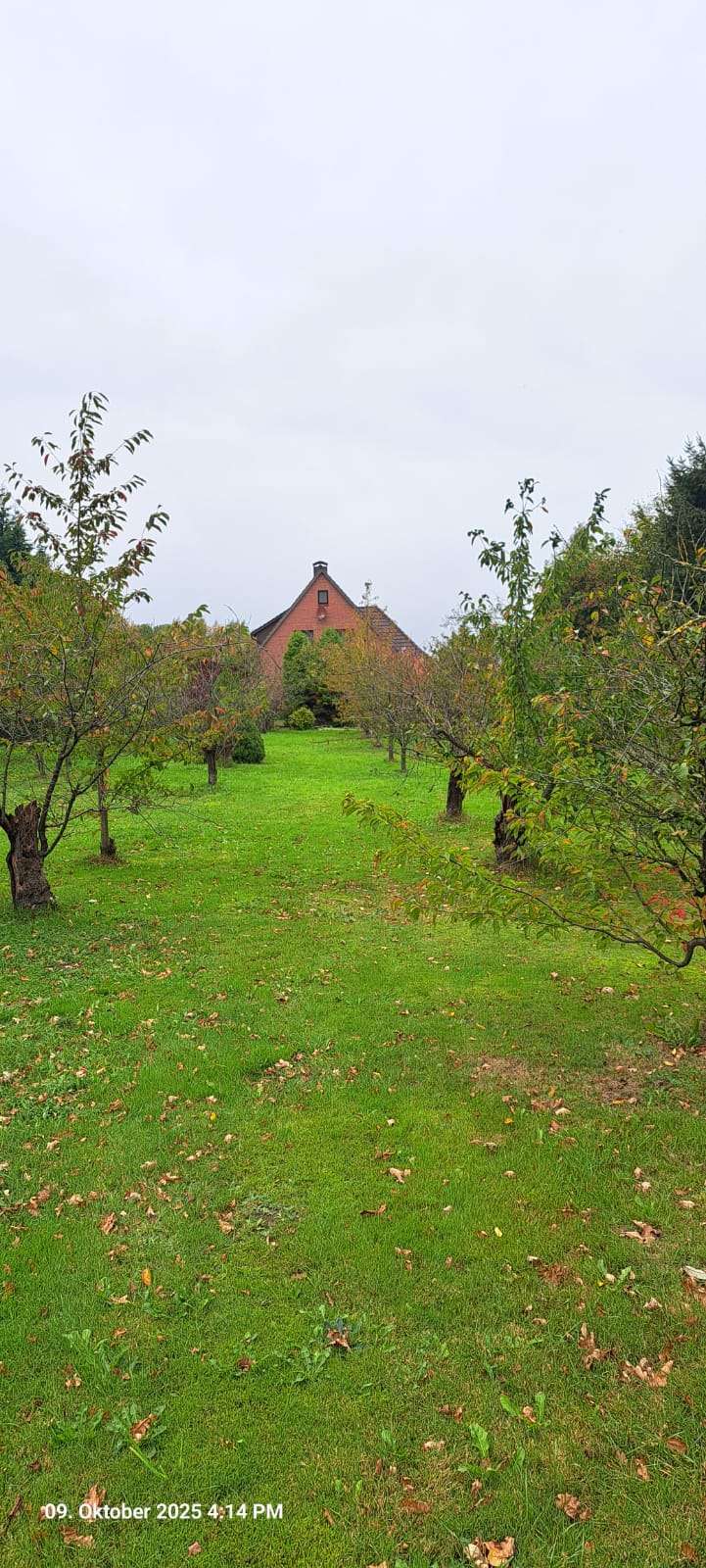 Thumbnail-Haus zum Kaufen in Buxtehude 485.000,00 € 150 m²