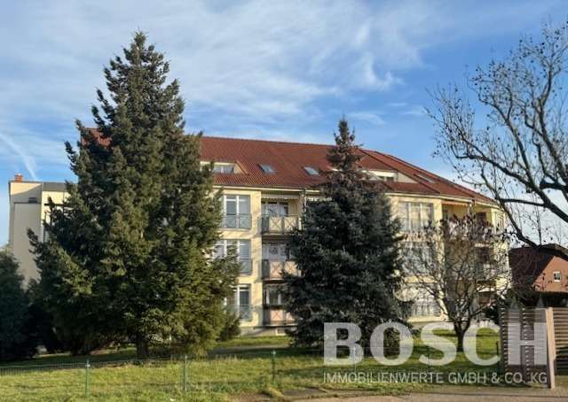 Thumbnail-Wohnung zum Kaufen in Magdeburg 104.000,00 € 46.15 m²