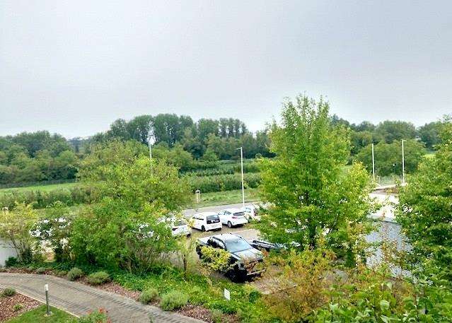 Thumbnail-Wohnung zum Kaufen in Geisenheim 98.000,00 € 35.11 m²